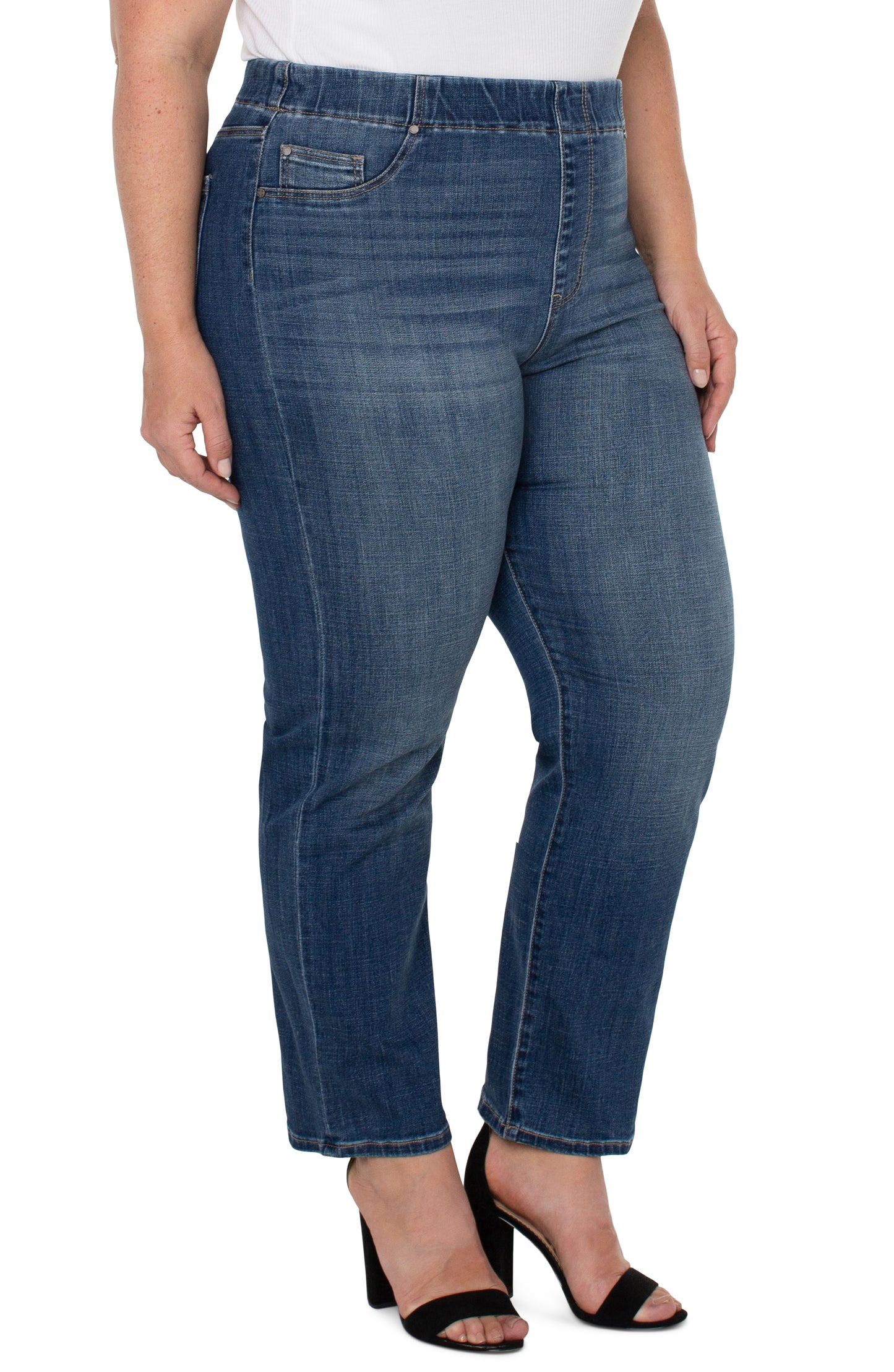 Liverpool Chloe Slim Pants (29" inseam) (Westchester)