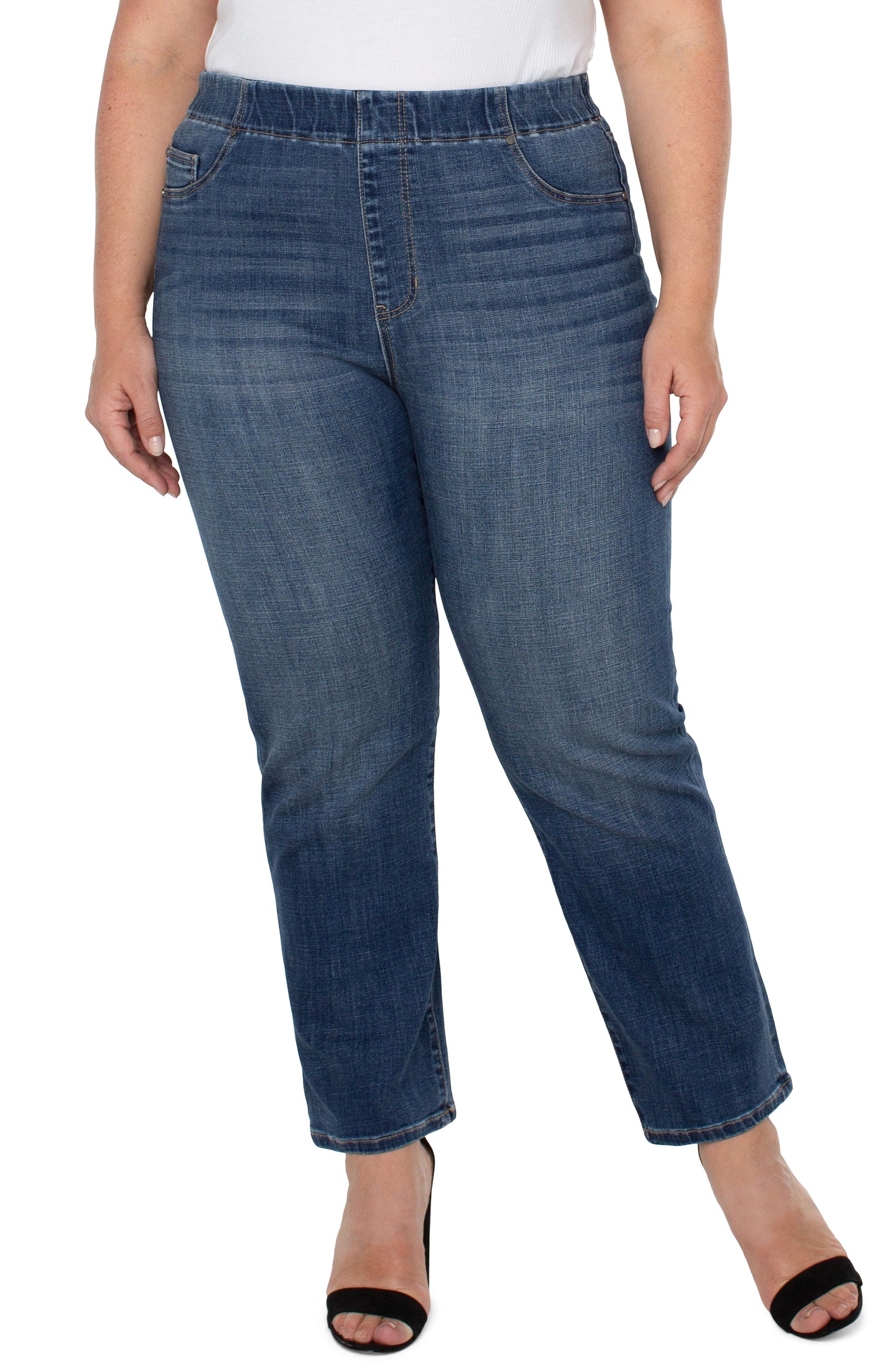 Liverpool Chloe Slim Pants (29" inseam) (Westchester)