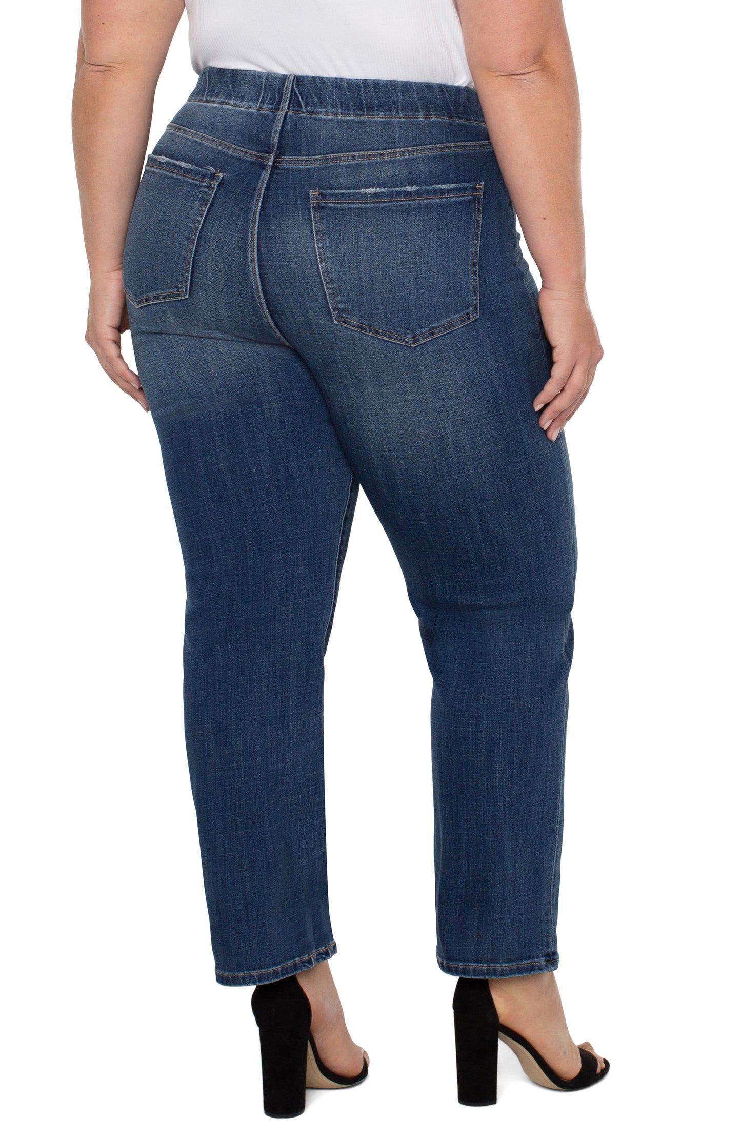 Liverpool Chloe Slim Pants (29" inseam) (Westchester)