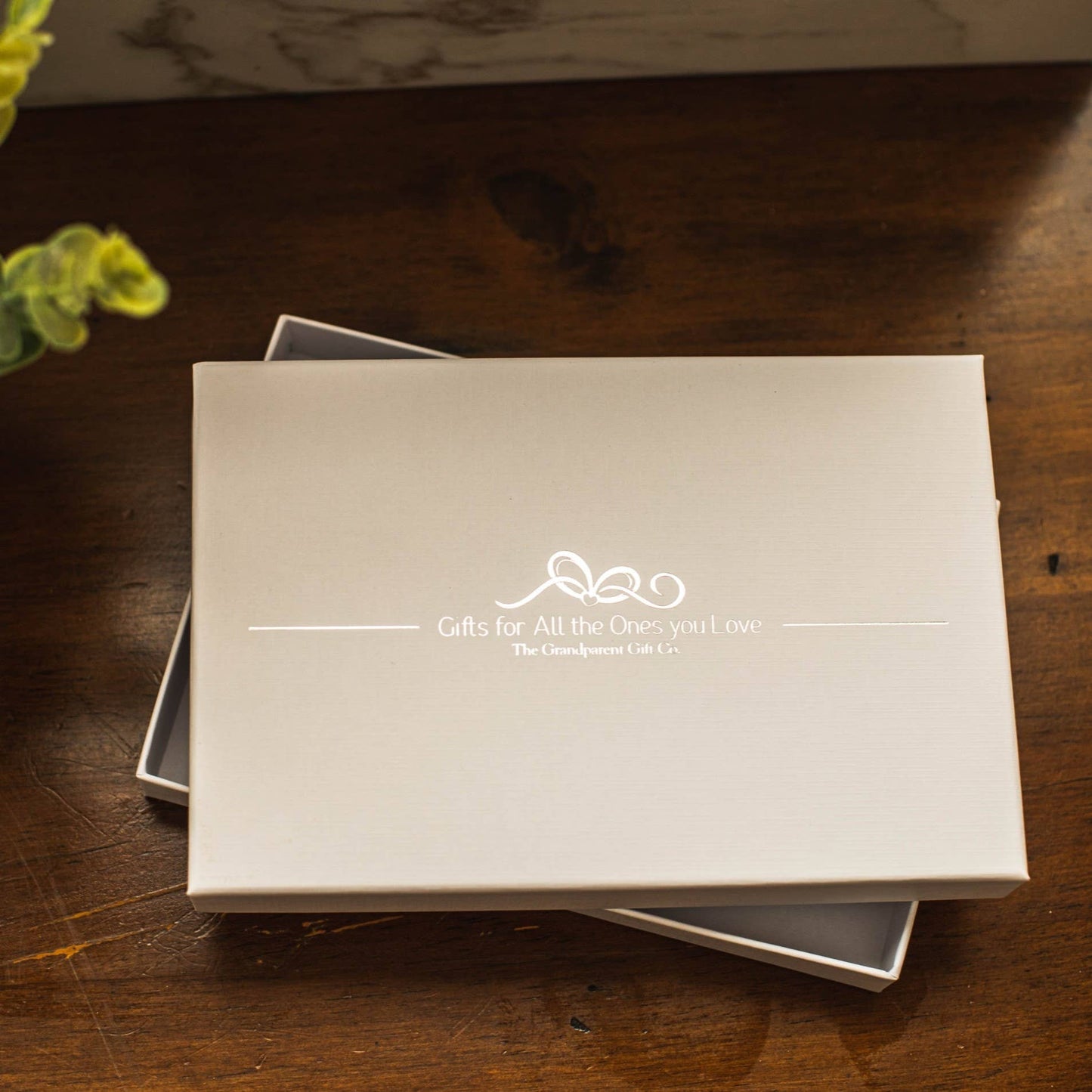 Great Grandma's Photo Brag Memory Book Album