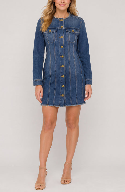 Liverpool Collarless Trucker Dress